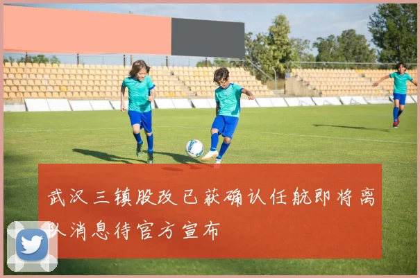 武汉三镇股改已获确认任航即将离队消息待官方宣布