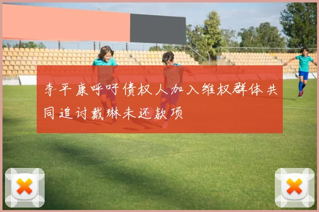 李平康呼吁债权人加入维权群体共同追讨戴琳未还款项